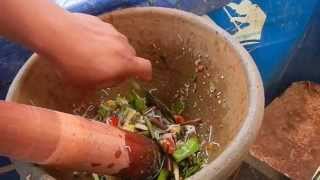 ส้มตำป่าสูตรหนุ่มลาวแซ่บเวอร์ Forest recipe salad Young Lao Zab River [upl. by Kurtz]