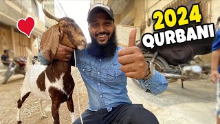 Alhumdulillah 2024 Qurbani 🐐 Eid ul adha 2024 Fahad Bhai Official [upl. by Vilberg612]