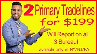 Best Company for Primary Tradelines that reports on all 3 bureaus ONLY for NYNJPA Residents [upl. by Ysnat]