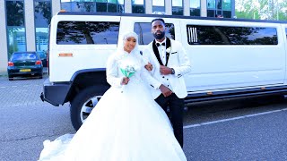 Oromo Wedding  Cidha Oromoo  Netherland  Kadir fi Roza [upl. by Somar]