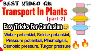 Best Lecture On quotTransport In Plantsquot🔥🔥 Part2  Neet 2022 amp Neet 2023  Class 11th Biology [upl. by Iron]