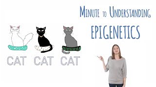 What is epigenetics [upl. by Ardisi]