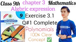 Exercise 31 Q1  Chapter 3  Maths Class 9th  Sindh boardexplorewithzamin1 [upl. by Dion862]