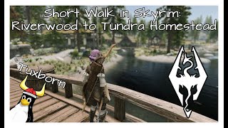 Short Walk In Skyrim Riverwood to Tundra Homestead  TUXBORN [upl. by Ahseym83]