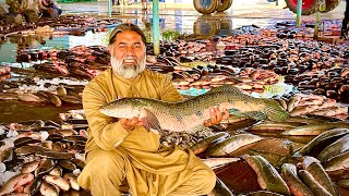 Biggest Fish Market 🎣 Pakistan Mein Sab Sy Bari Fish Market  Net Fishing in Pakistan  Mubarak Ali [upl. by Eillo]