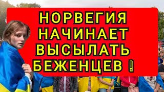 НОРВЕГИЯ НАЧИНАЕТ ВЫСЫЛАТЬ БЕЖЕНЦЕВ [upl. by Shanon22]