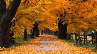 Antonio Vivaldi  Autumn [upl. by Etnemelc]