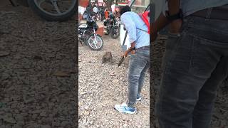 Monkey prank 🙊trending funny viralshort video explore explorepage shortsfeed foryou [upl. by Norris38]