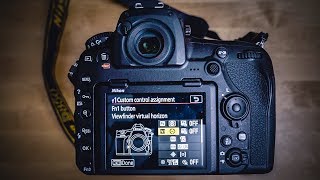 Nikon D850 Menu Settings for Wildlife Photography  Nikon setup tips [upl. by Eleanore764]