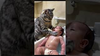 Cat bathes baby [upl. by Gambrell]