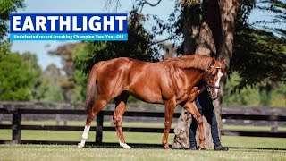 AUS Earthlight 2022 Stallion Showreel [upl. by Fineberg274]