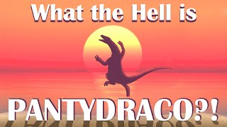 What the Hell is Pantydraco [upl. by Drucie203]