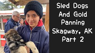 Sled Dogs and Gold Panning  A Day in Skagway Part 2  Alaska Cruise  Rambling with Phil [upl. by Farlie]