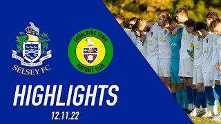 SELSEY VS GODALMING TOWN HIGHLIGHTS [upl. by Leunas]