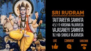 Sri Rudram  Rudri Path  Shata Rudreeyam  Namakam  Chamakam With Lyrics and Meaning [upl. by Orin199]