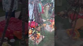 Chath Pooja chat chathpuja [upl. by Perkin262]