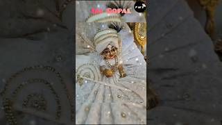 Noyana Noyana Rakhi Tomaka jaigopal harekrishna trending god viralvideo shortfeed shorts 🙏🌼🌼 [upl. by Nedyrb]