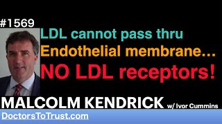 MALCOLM KENDRICK 6  LDL cannot pass thru Endothelial membrane… NO LDL receptors [upl. by Kazim]