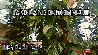 83 Visite Jardiland de Bonneuil  vaisje y trouver des pépites [upl. by Boggers277]