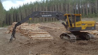 Volvo EC250DL Forestry Carrier product walk around [upl. by Yauqaj]