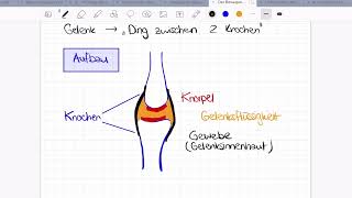 Erklärvideo Gelenke Arten amp Aufbau [upl. by Niwroc368]