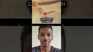 Atheist cant answer this fact about fossilization atheist God bible flood evolution [upl. by Gallagher]