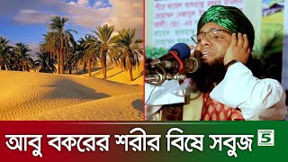 আবু বকরের শরীর বিষে সবুজ  গাজী সোলাইমান ক্বাদেরী  Gazi Solaiman Qaderi  Pak Panjatan [upl. by Avid]