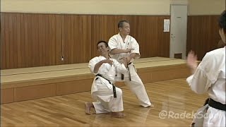 Seienchin  secret techniques English translation Yoshio Kuba Goju ryu Karate [upl. by Oryaj]