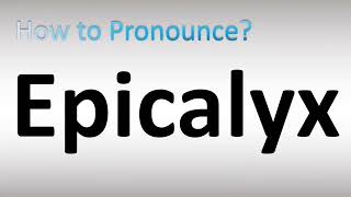 How to Pronounce Epicalyx [upl. by Anilemrac]