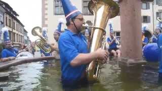 Cold Water Challenge 2014  Stadtmusik Endingen [upl. by Dagnah]