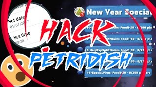 PETRIDISH HACK  NEW YEAR SPECIAL UNLOCK OMG [upl. by Acisse]