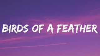 Billie Eilish  BIRDS OF A FEATHER Lyrics [upl. by Ahsienod]