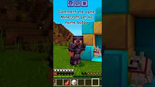 Minecraft Noob Vs Pro Vs Haker in taming dog 🐕 shorts viral minecraft [upl. by Dammahum]