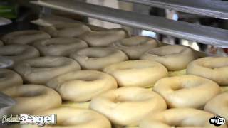 Bodacious Bagels in Ashland MA  New York Style Kettle Boiled Bagels [upl. by Enoryt]