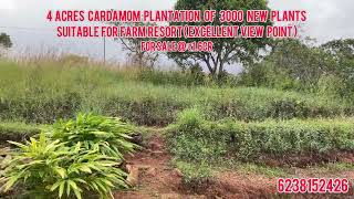 4 Acres cardamom plantation of 3000 new plants ideal for farm resorts near Koovalettam Vagamon [upl. by Hiram]