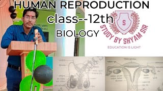 HUMAN REPRODUCTION [upl. by Verge]