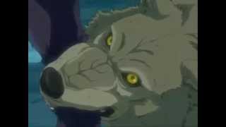 Wolfs rain amv Warriors [upl. by Antonetta471]