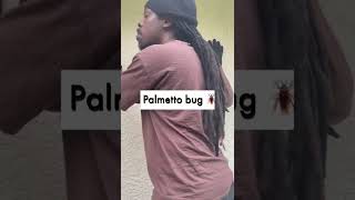 Palmetto Bugs vs Florida Newcomers [upl. by Clyve]