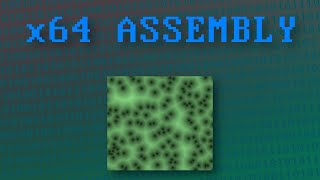 x64 Assembly Tutorial 30 Bit Test Instructions [upl. by Ajdan]