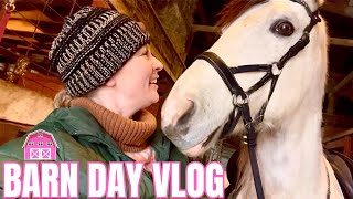 24 Hours On A Horse Farm Riding Grooming Liberty amp More [upl. by Sheldon]