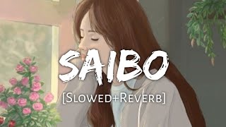 saibo slowedReverb lofi song  lofi mix saibo  LoFi 20 [upl. by Einon733]