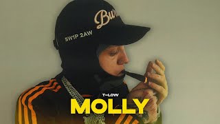 tlow  MOLLY OFFICIAL VIDEO prod808Vibes [upl. by Llechtim]