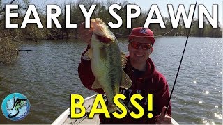 The Key To Finding Spawning Bass  Bass Fishing Strategies [upl. by Vinaya327]