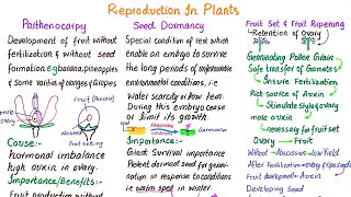 Parthenocarpy  Seed dormancy  Fruit set and fruit ripening  class 12 [upl. by Aicilet313]