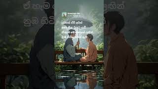 දවසක් ඒවී අපිත් අපෙ හීනවලට යාවී 🐾 slowed vocals sinhalamusic whatsappstatus mood vibes shorts [upl. by Lacy]