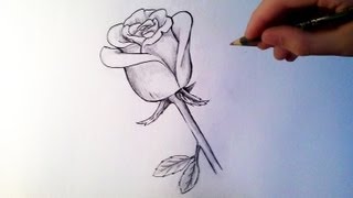 Comment dessiner une rose Tutoriel [upl. by Leizar]