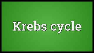 Krebs cycle Meaning [upl. by Nilesoj]