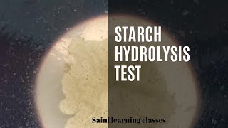 Starch Hydrolysis test  Amylase enzyme test of bacteria microbiology sainilearningclasses [upl. by Vokay42]