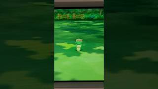 How to catch Caterpie [upl. by Nivlac]