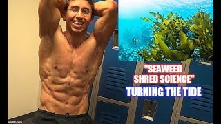 How Seaweed Burns Belly Fat [upl. by Tonkin]